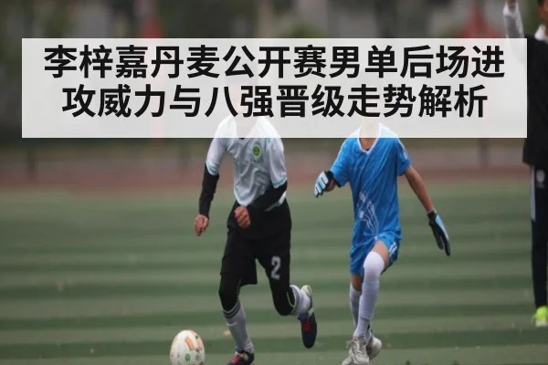 李梓嘉丹麦公开赛男单后场进攻威力与八强晋级走势解析
